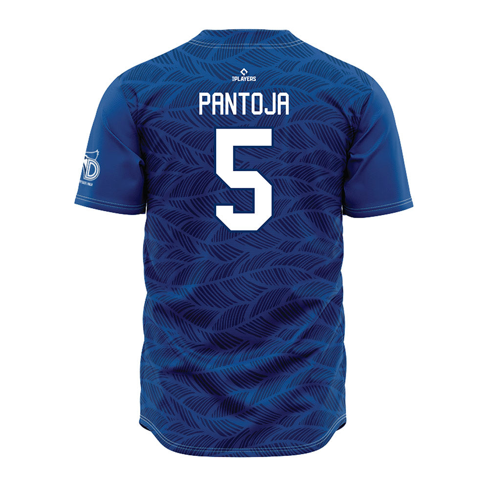 Dunedin Blue Jays - MILB Baseball : Miguel Pantoja - Jersey-1