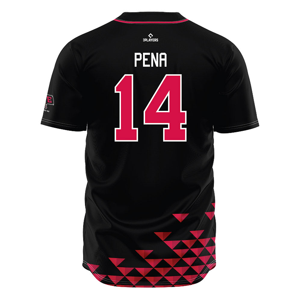 Erie SeaWolves - MILB Baseball : Carlos Pena - Jersey-1
