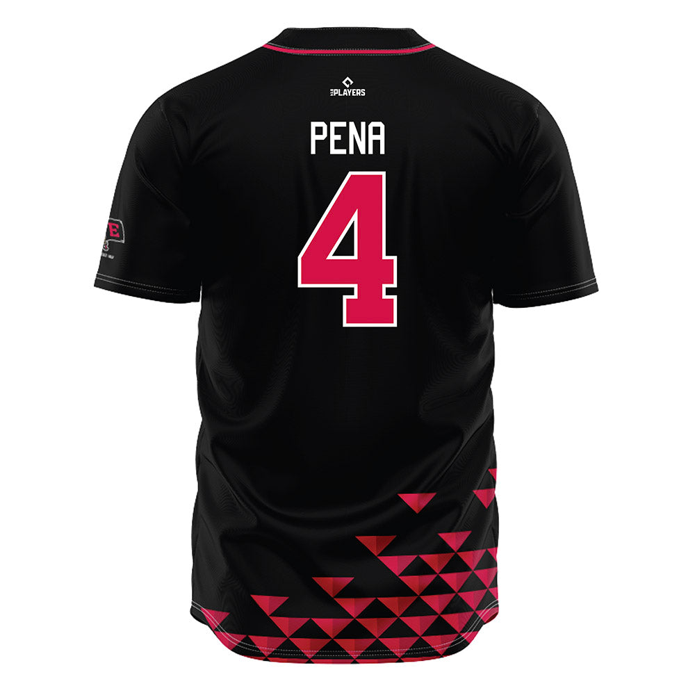Erie SeaWolves - MILB Baseball : Viandel Pena - Jersey-1