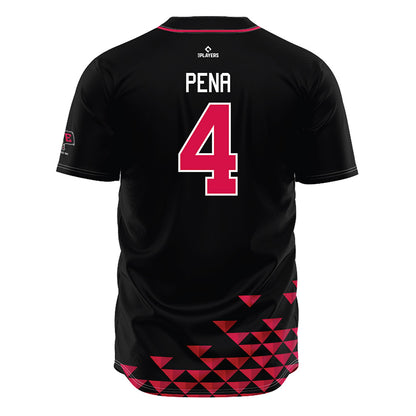 Erie SeaWolves - MILB Baseball : Viandel Pena - Jersey-1