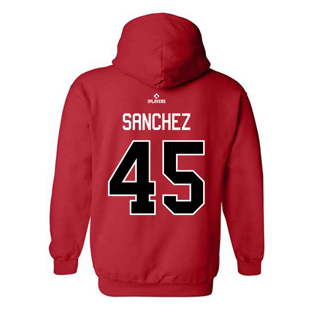 Erie SeaWolves - MILB Baseball : Yosber Sanchez - Hooded Sweatshirt-1