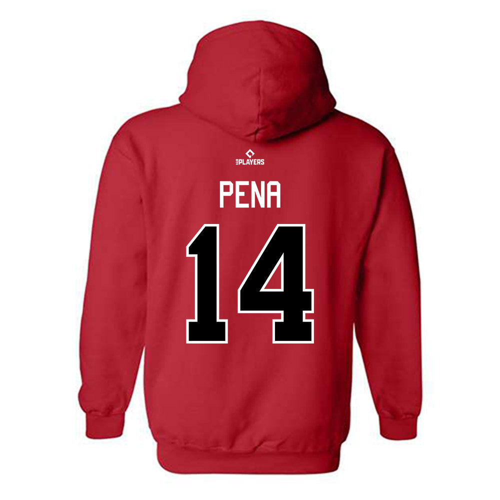 Erie SeaWolves - MILB Baseball : Carlos Pena - Hooded Sweatshirt-1
