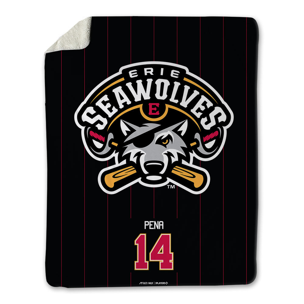 Erie SeaWolves - MILB Baseball : Carlos Pena - Blanket-0