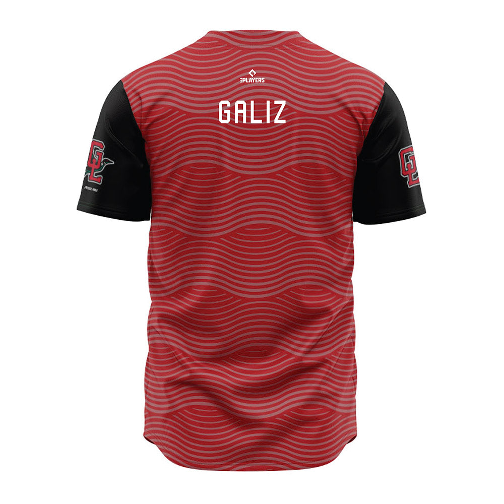 Great Lakes Loons - MILB Baseball : Jesus Galiz - Jersey-1