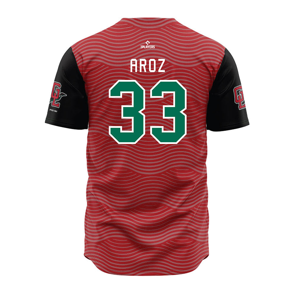 Great Lakes Loons - MILB Baseball : Anson Aroz - Jersey-1
