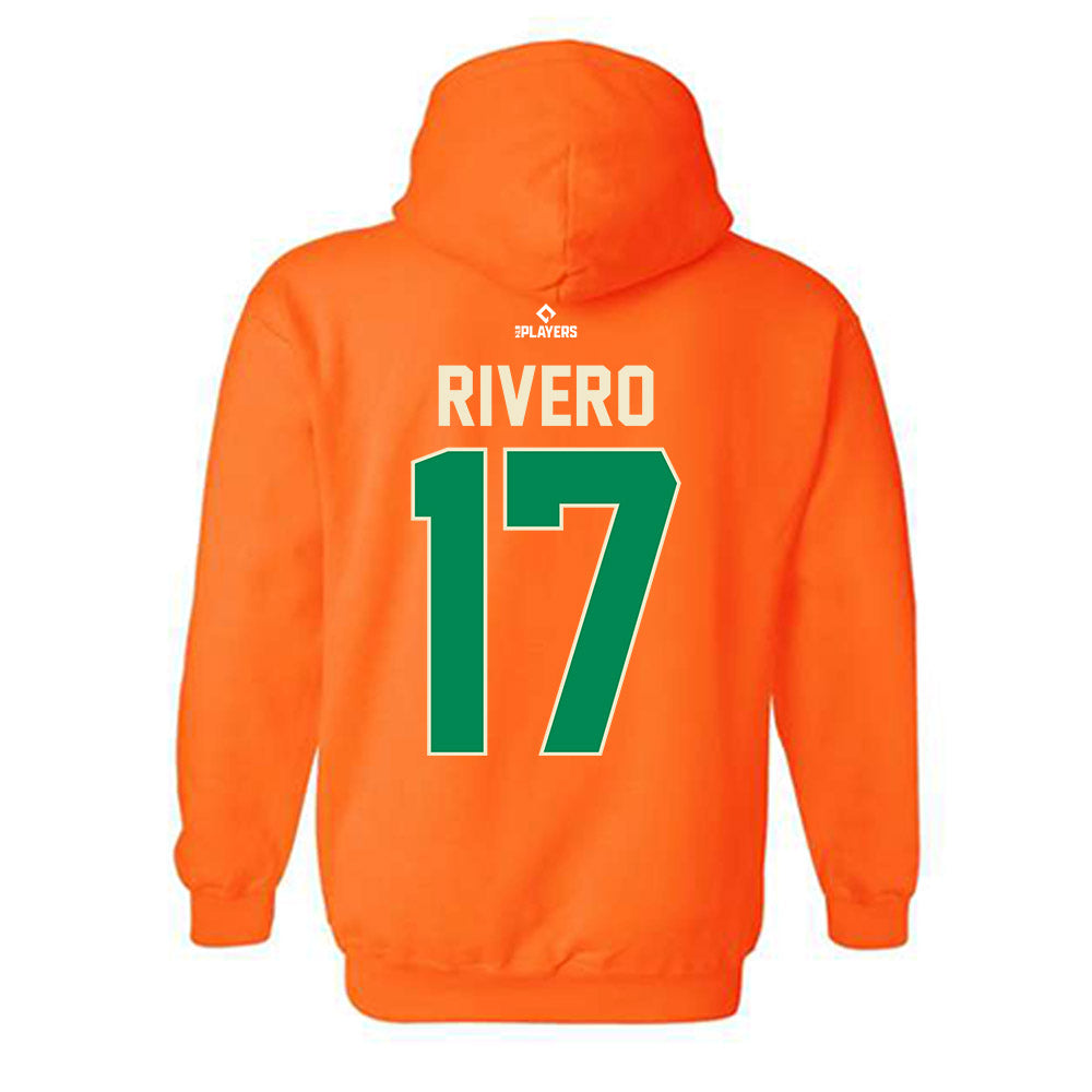 Greensboro Hoppers - MILB Baseball : Jonathan Rivero - Hooded Sweatshirt-2