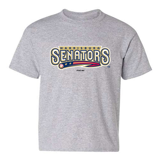 Harrisburg Sens - MILB Baseball : Edgardo Figueroa - Youth T-Shirt-0