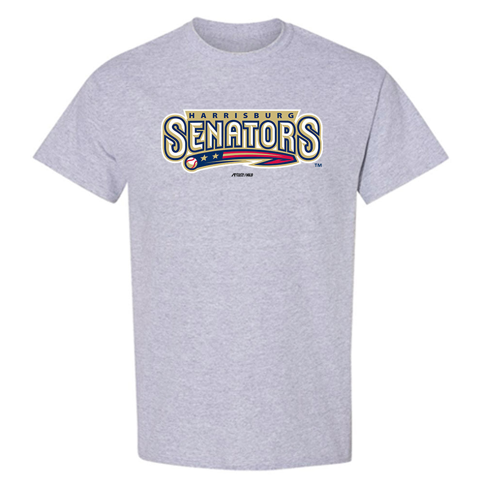 Harrisburg Sens - MILB Baseball : Blake Brown - T-Shirt-0