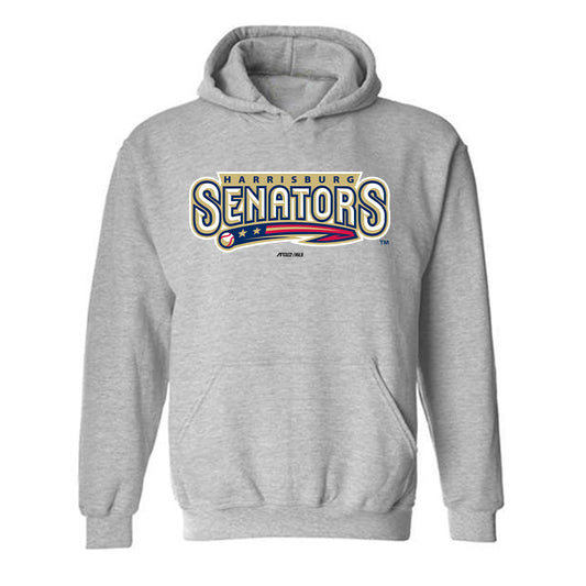 Harrisburg Sens - MILB Baseball : Kevin Bazzell - Hooded Sweatshirt-0