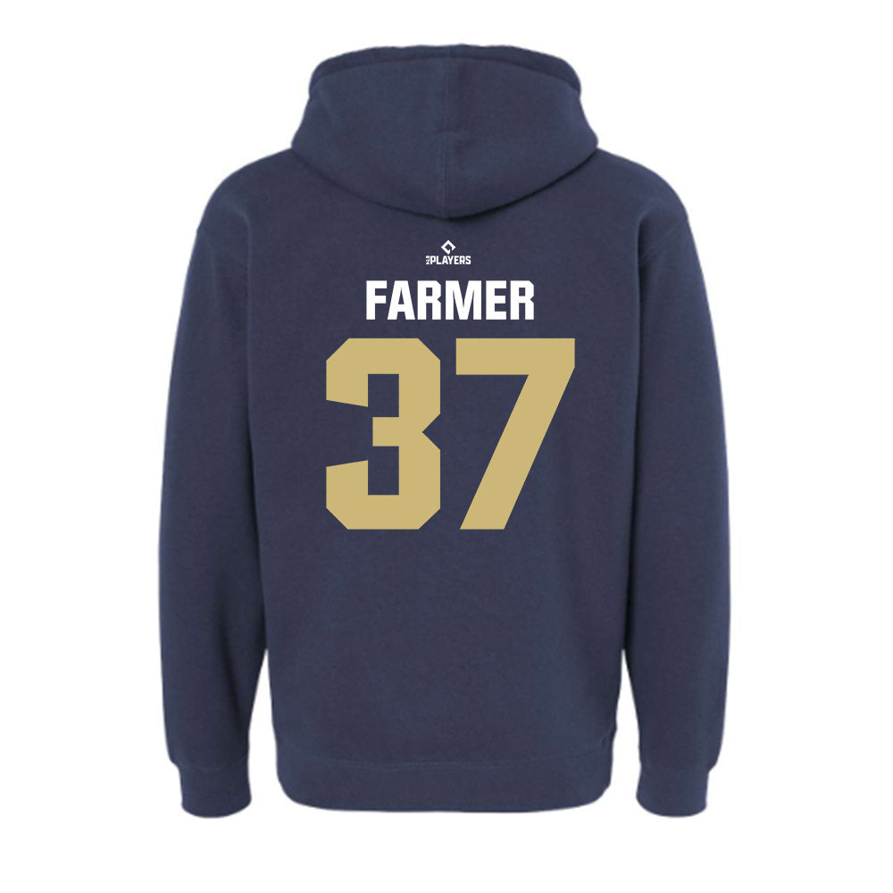 Harrisburg Sens - MILB Baseball : Caleb Farmer - Hooded Pullover Sweatshirt-1