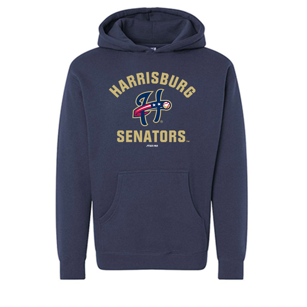 Harrisburg Sens - MILB Baseball : Thomas Schultz - Hooded Pullover Sweatshirt-0