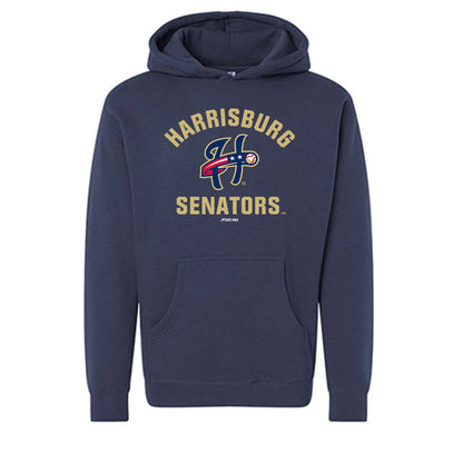 Harrisburg Sens - MILB Baseball : Thomas Schultz - Hooded Pullover Sweatshirt-0