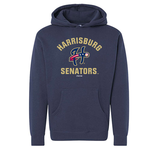 Harrisburg Sens - MILB Baseball : Noah Dean - Hooded Pullover Sweatshirt-0