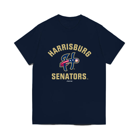 Harrisburg Sens - MILB Baseball : Sandy Gaston - Comfort Colors T-Shirt-0