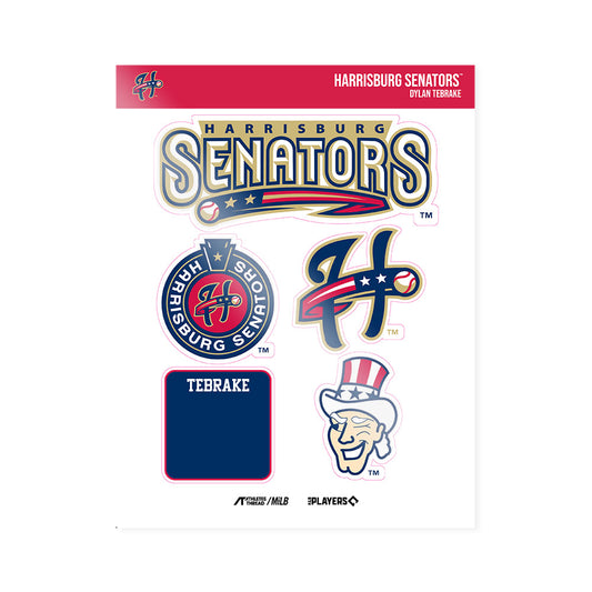 Harrisburg Sens - MILB Baseball : Dylan Tebrake - Sticker Sheet-0