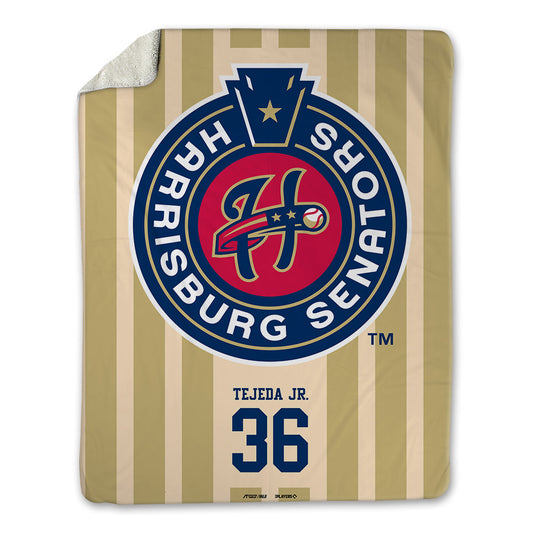 Harrisburg Sens - MILB Baseball : Yoel Tejeda Jr. - Blanket-0