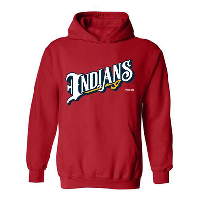 Indianapolis Indians - MILB Baseball : Michael Darrell-Hicks - Hooded Sweatshirt-0