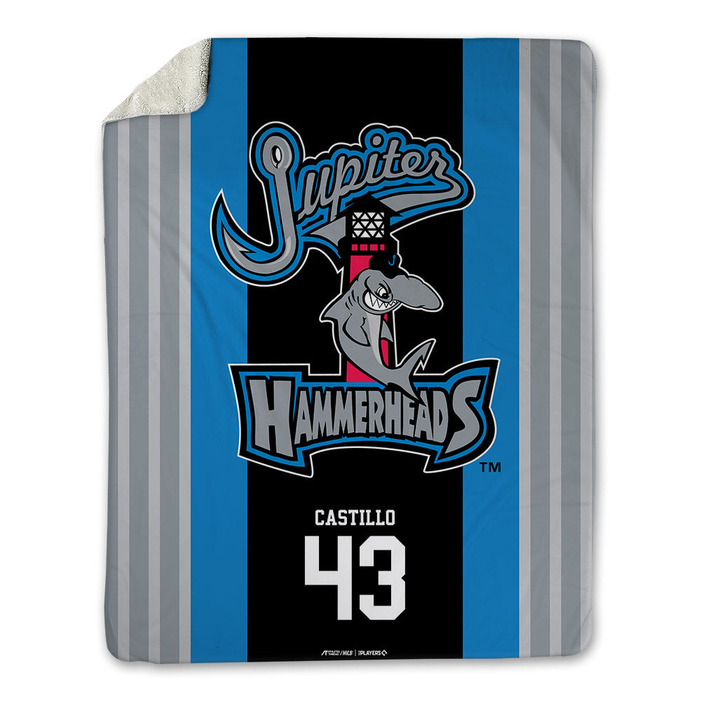 Jupiter Hammerheads - MILB Baseball : Walin Castillo - Blanket-0