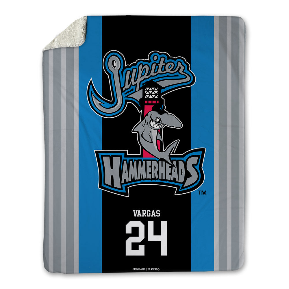 Jupiter Hammerheads - MILB Baseball : Echedry Vargas - Blanket-0