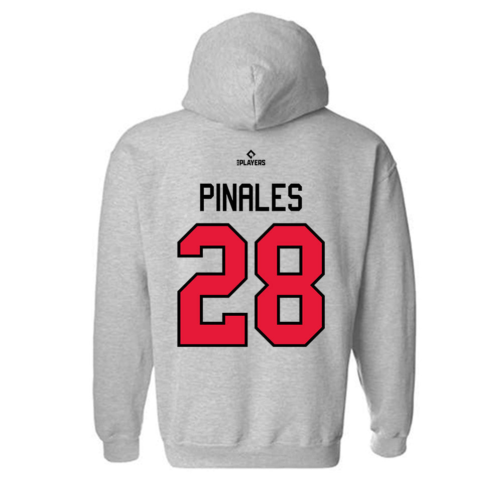Lansing Lugnuts - MILB Baseball : Darlin Pinales - Hooded Sweatshirt-1