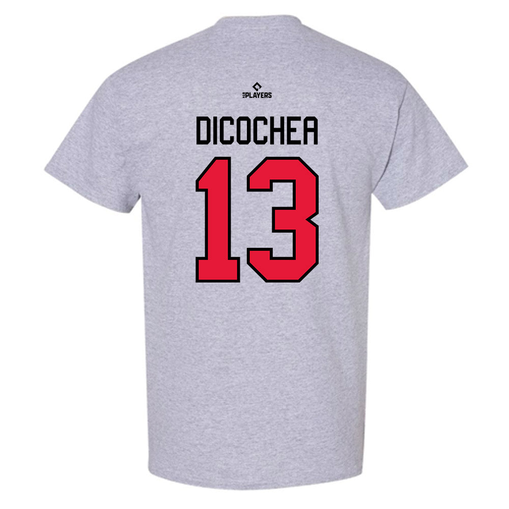 Lansing Lugnuts - MILB Baseball : Jose Dicochea - T-Shirt-1