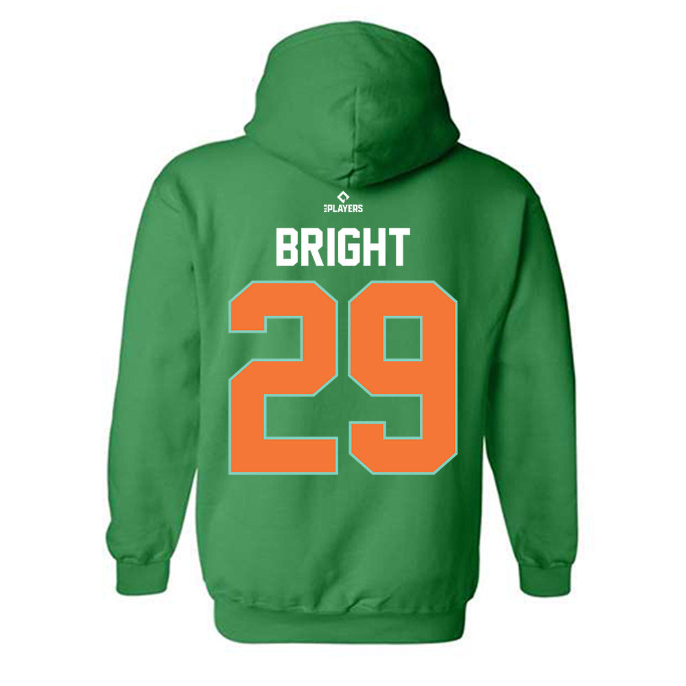 Norfolk Tides - MILB Baseball : Trace Bright - Hooded Sweatshirt-1