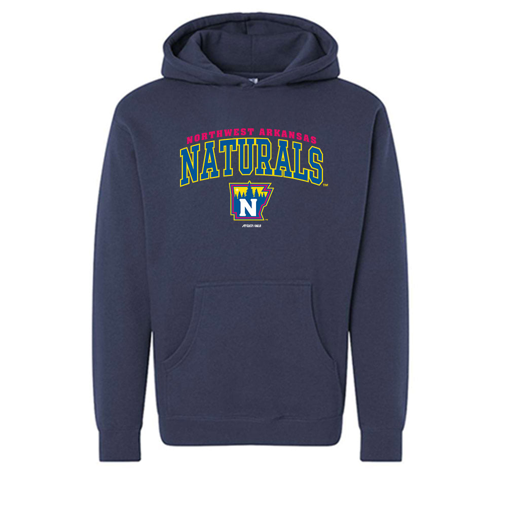 NW Arkansas Naturals - MILB Baseball : Shane Panzini - Hooded Pullover Sweatshirt-0