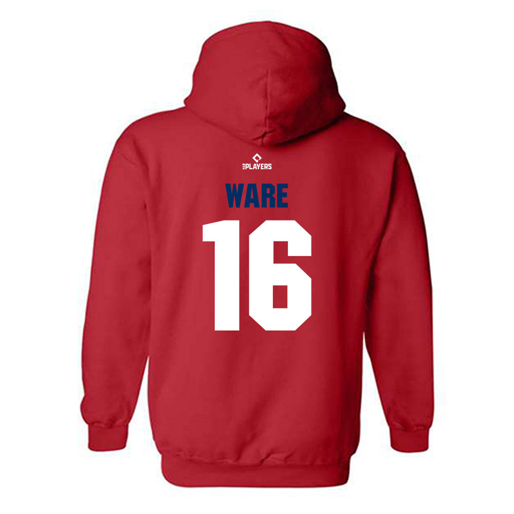 Fightins - MILB Baseball : Bryson Ware - Hooded Sweatshirt-1