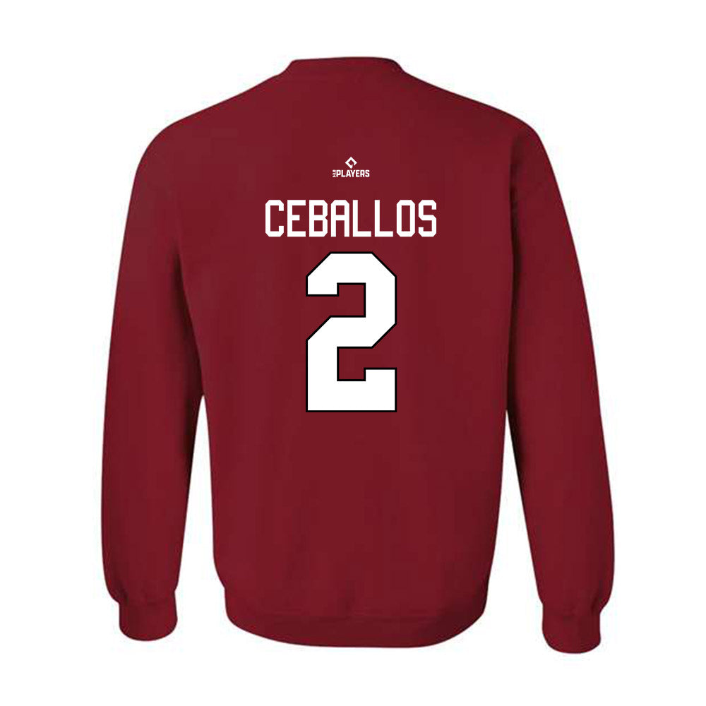 Richmond Flying Squirrels - MILB Baseball : Sabin Ceballos - Crewneck Sweatshirt-1