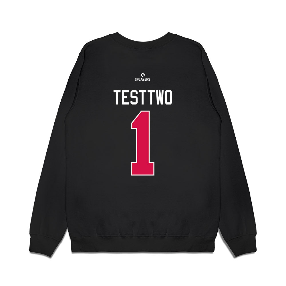 Flying Squirrels - MILB Baseball : Squirrels TestTwo - Premium Crewneck Sweatshirt-1