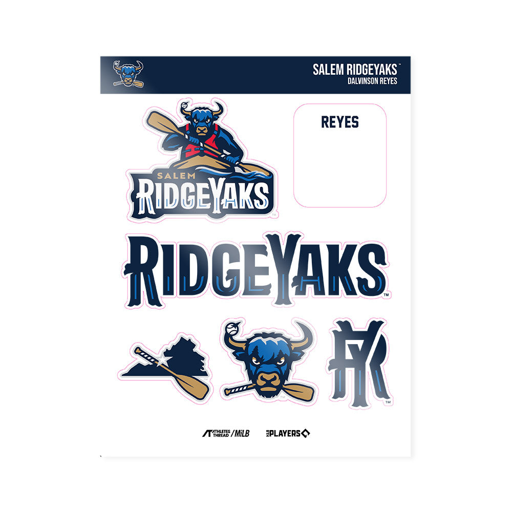Salem RidgeYaks - MILB Baseball : Dalvinson Reyes - Sticker Sheet-0
