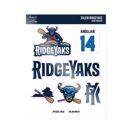 Salem RidgeYaks - MILB Baseball : Louis Andujar - Sticker Sheet-0