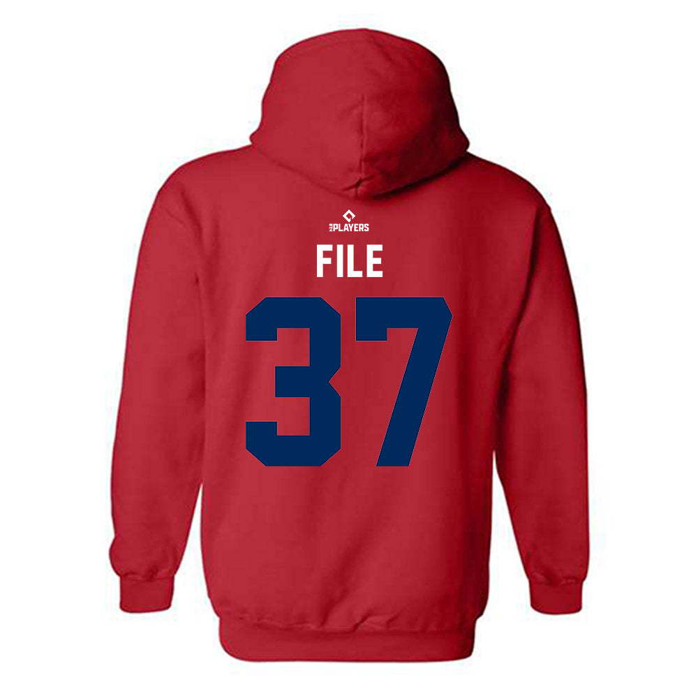 Toledo Mud Hens - MILB Baseball : Dylan File - Hooded Sweatshirt-1