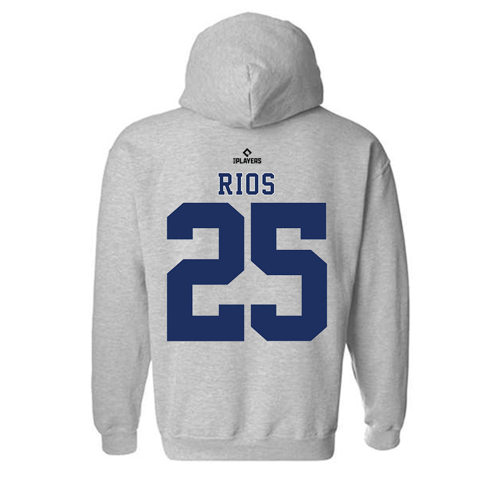 Tri City Devils - MILB Baseball : Alberto Rios - Hooded Sweatshirt-1