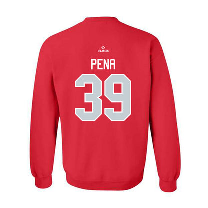 Van Canadians - MILB Baseball : Dameury Pena - Crewneck Sweatshirt-1