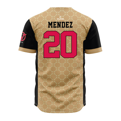 Visalia Rawhide - MILB Baseball : Teofilo Mendez - Jersey-1