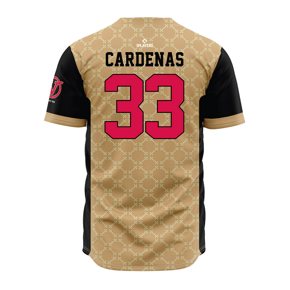 Visalia Rawhide - MILB Baseball : Anderson Cardenas - Jersey-1