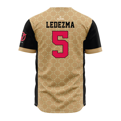 Visalia Rawhide - MILB Baseball : Juan Ledezma - Jersey-1