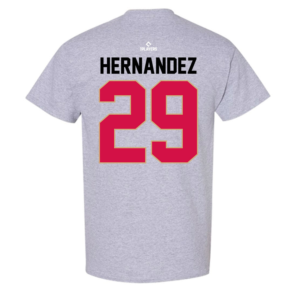 Visalia Rawhide - MILB Baseball : Julien Hernandez - T-Shirt-1