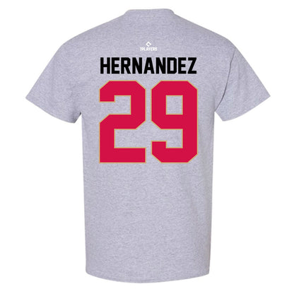 Visalia Rawhide - MILB Baseball : Julien Hernandez - T-Shirt-1