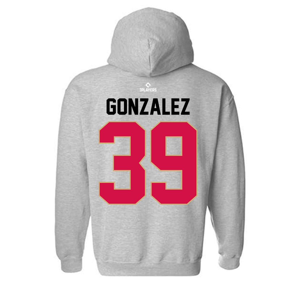 Visalia Rawhide - MILB Baseball : Samuel Gonzalez - Hooded Sweatshirt-1