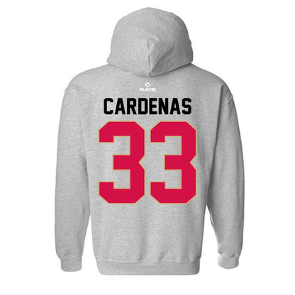 Visalia Rawhide - MILB Baseball : Anderson Cardenas - Hooded Sweatshirt-1