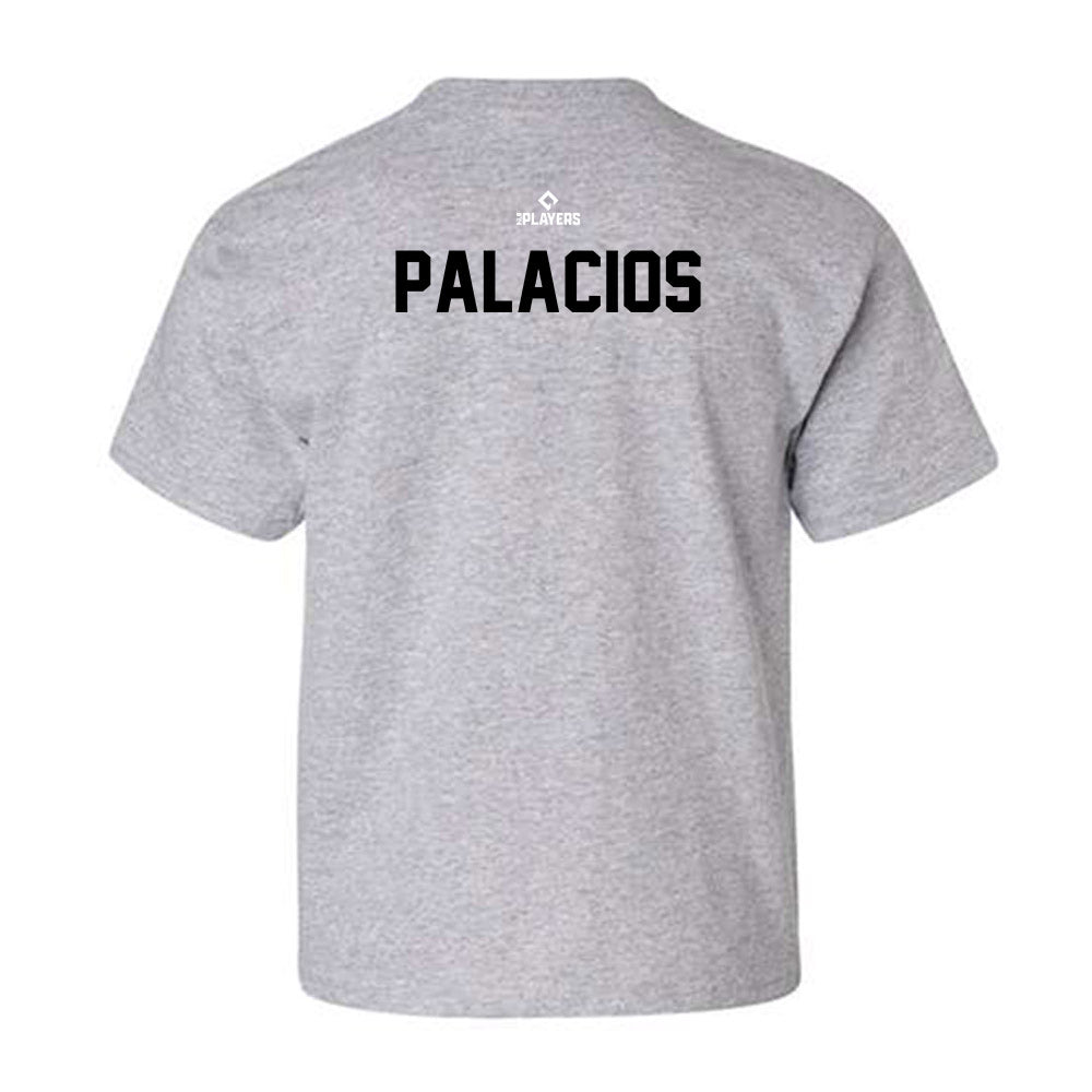 Visalia Rawhide - MILB Baseball : Neiker Palacios - Youth T-Shirt-1