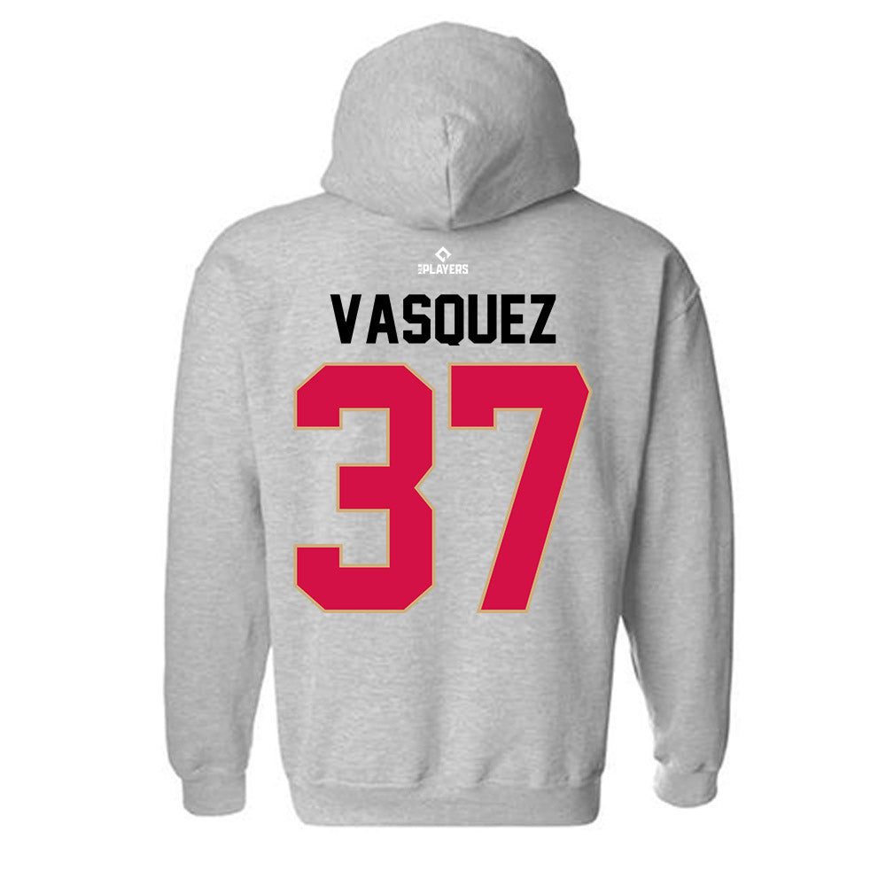 Visalia Rawhide - MILB Baseball : Daury Vasquez - Hooded Sweatshirt-1