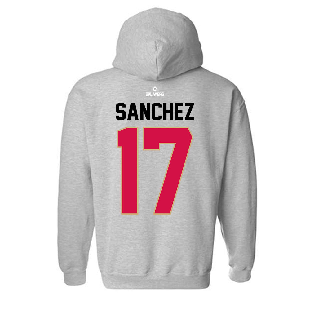 Visalia Rawhide - MILB Baseball : David Sanchez - Hooded Sweatshirt-1