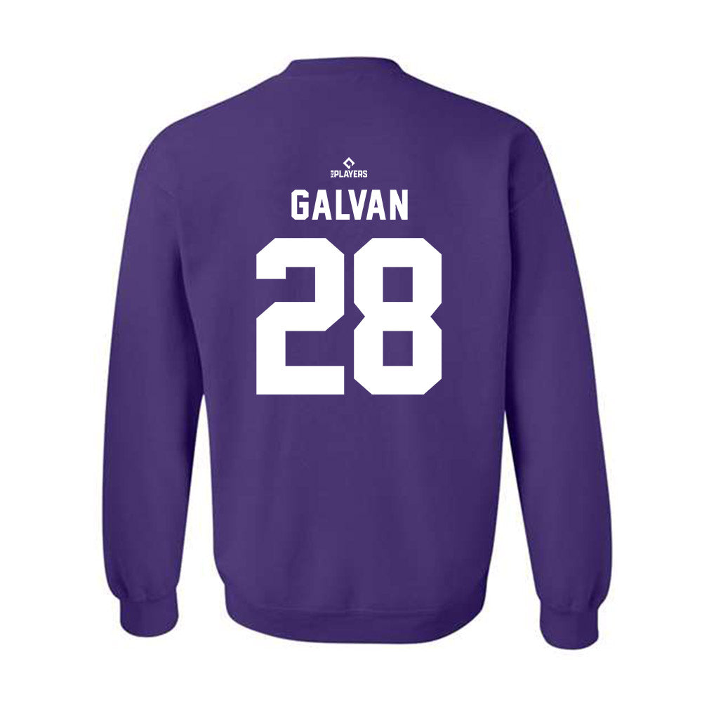 WS Dash - MILB Baseball : Rylan Galvan - Crewneck Sweatshirt-1