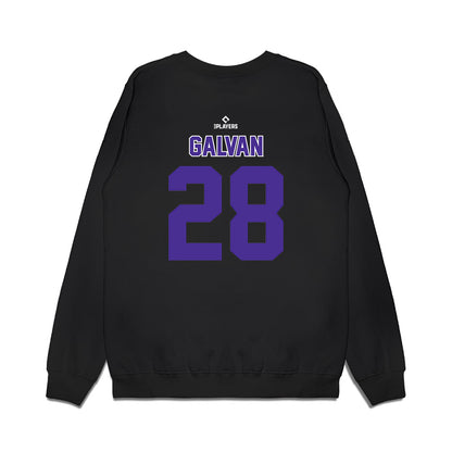 WS Dash - MILB Baseball : Rylan Galvan - Premium Crewneck Sweatshirt-1