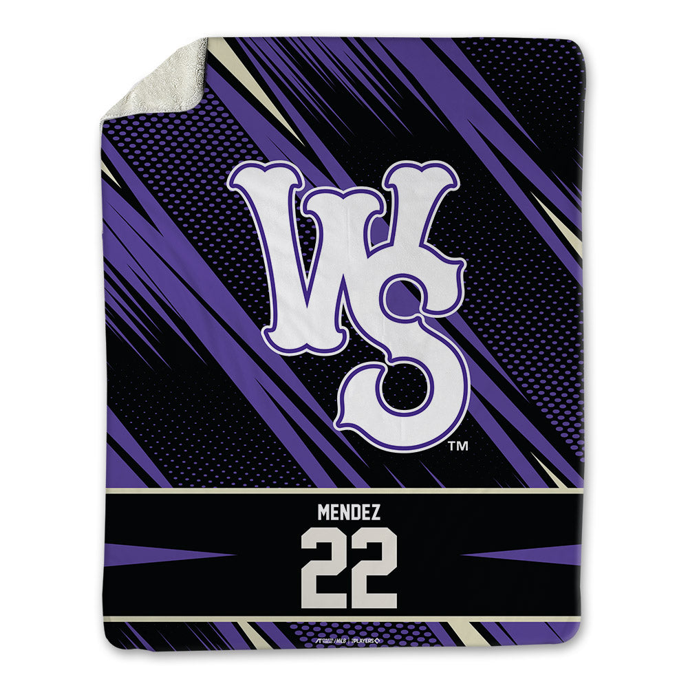 WS Dash - MILB Baseball : Jesus Mendez - Blanket-0
