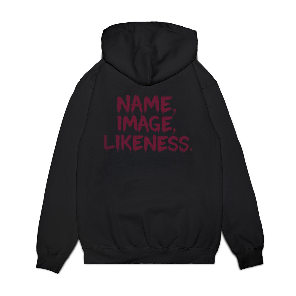 Minnesota - All NCAA Sports : Premium Hooded Sweatshirt-1