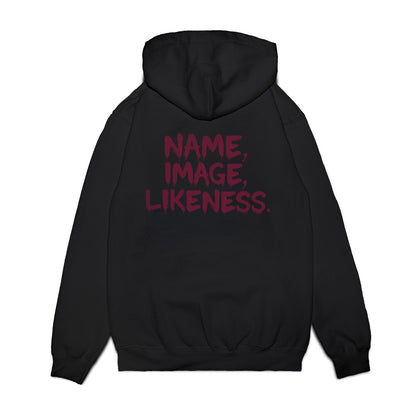 Minnesota - All NCAA Sports : Premium Hooded Sweatshirt-1